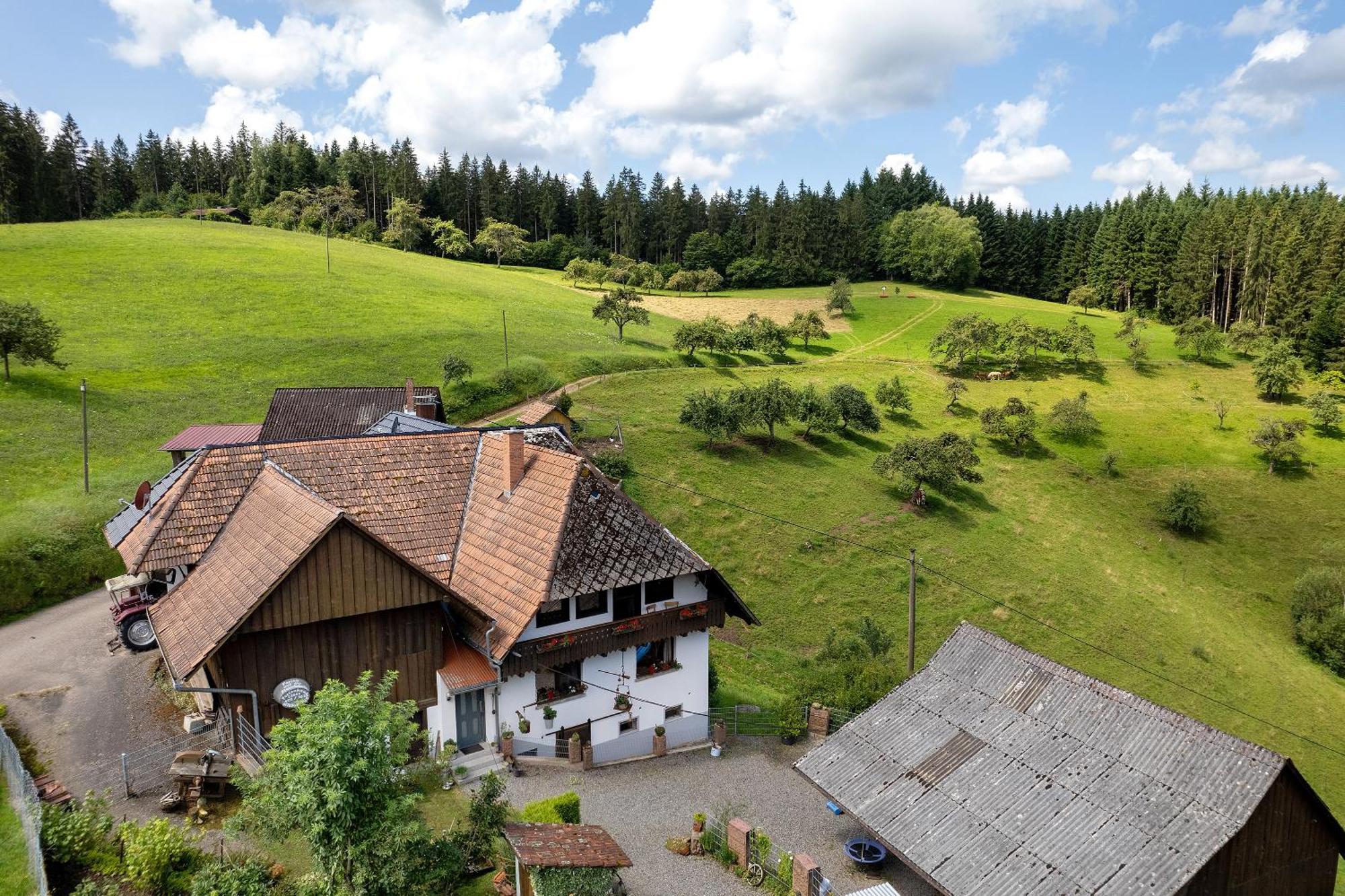 Ferien Auf Der Fleischdielte Mühlenbach Buitenkant foto